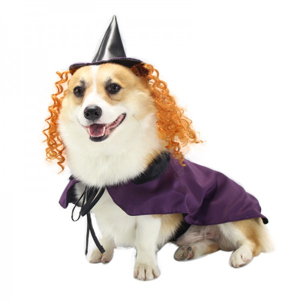 Halloween pet costume witch cosplay purple cloak with hat