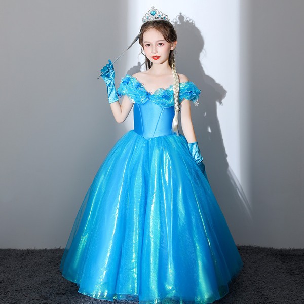 Blue Princess Costumes Dress Long Skir