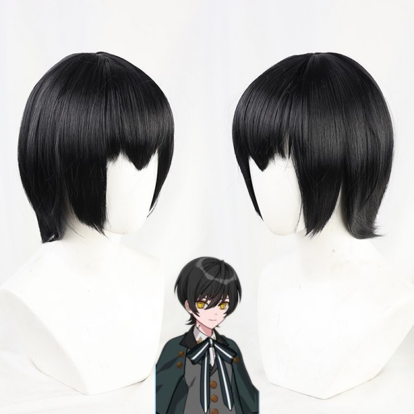 Promise of Wizard Snow Cosplay Wig