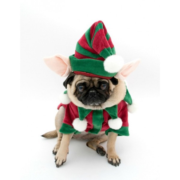 Christmas Dog Costumes Elf Outfit