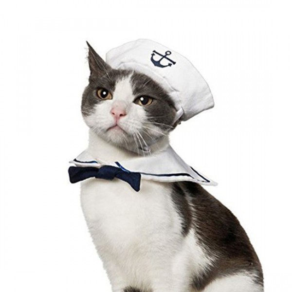 Cat Sailor Costume 