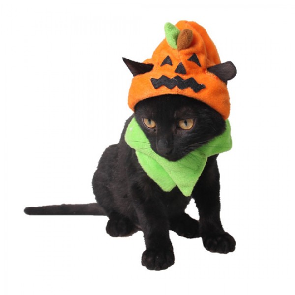 Cat Scary Pumpkin Costume 