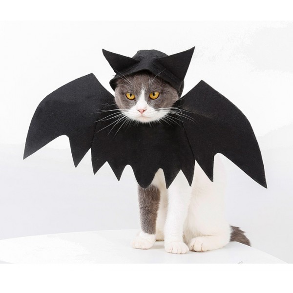 Cat Black Bat With Wings Costume 