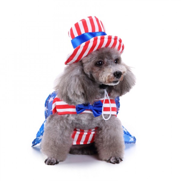 Cute Dog Independence Day Costume