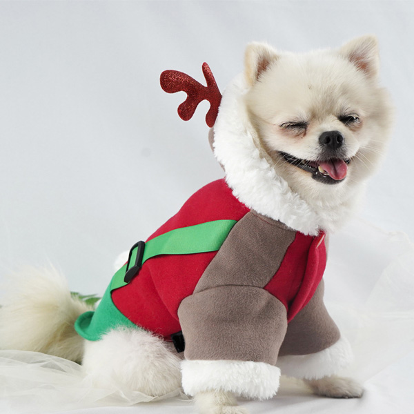 Dog Christmas Elf Costume Outfit