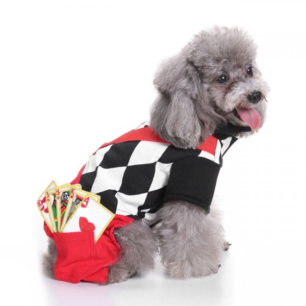 Dog Fun Magician Halloween Costume
