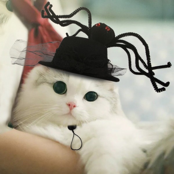 Cat Halloween Spider Costume Hat Decoration