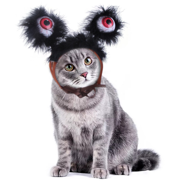 Pet Cat Big Eyes Halloween Costume Hat Decoration