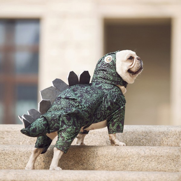 Dog Dinosaur Halloween Costume