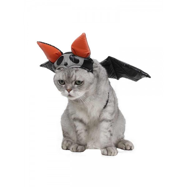Cat Black Bat With Wings Halloween Costume