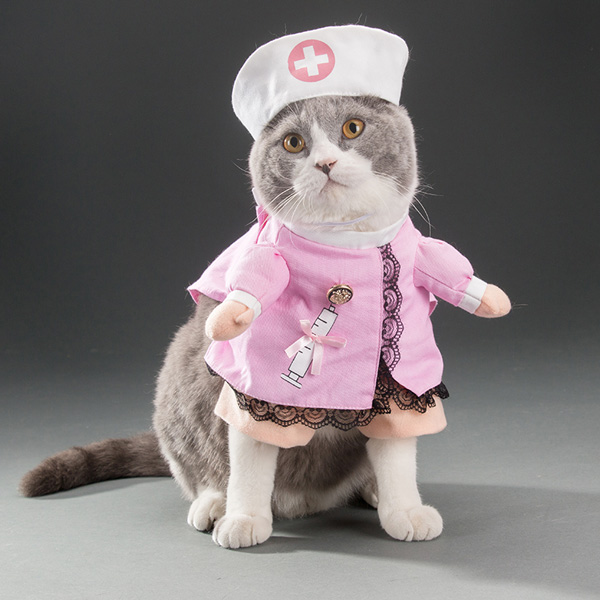 Pet Cat Nurse Halloween Costume 