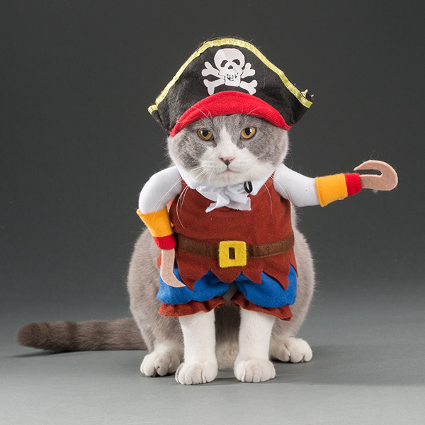 Pet Cat Pirate Halloween Costume