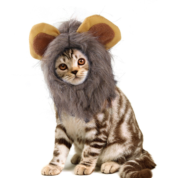 Pet Cat lion Halloween Costume