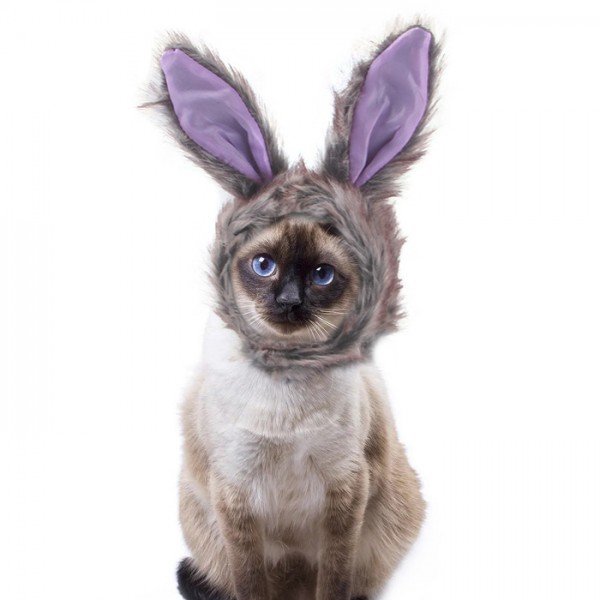 Cute Cat Bunny Halloween Costume Hat Decorations