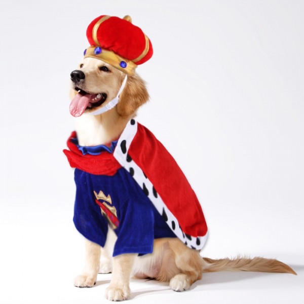 Dog King Halloween Costume 