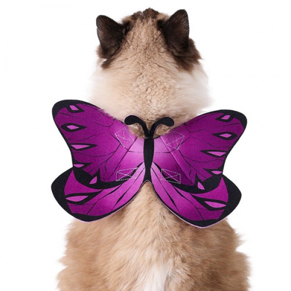 Pet Cat Butterfly Costume