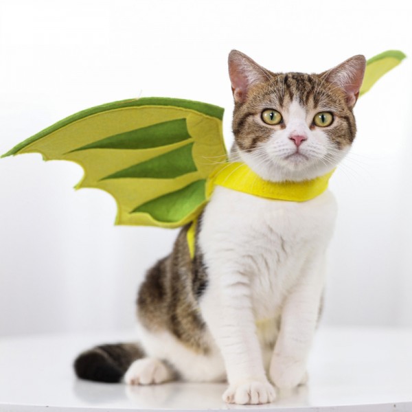 Cute Cat Dinosaur Wing Party Costume