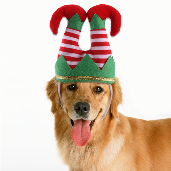 Pet Dog Christmas Elf Costume Hat 