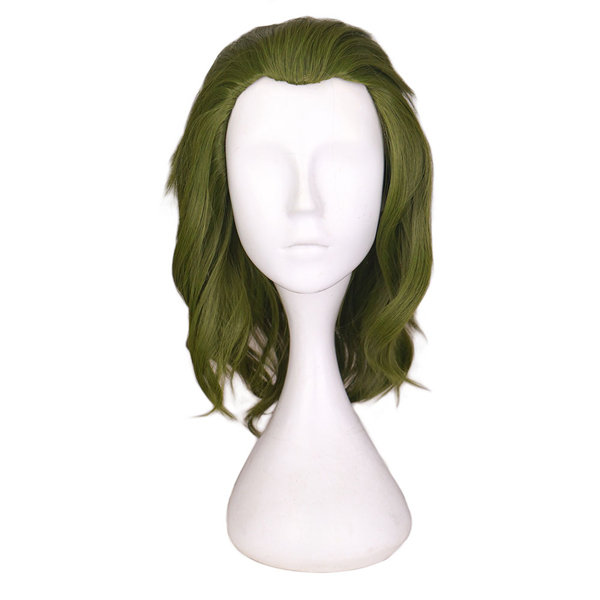 Adult Green Joker Wig