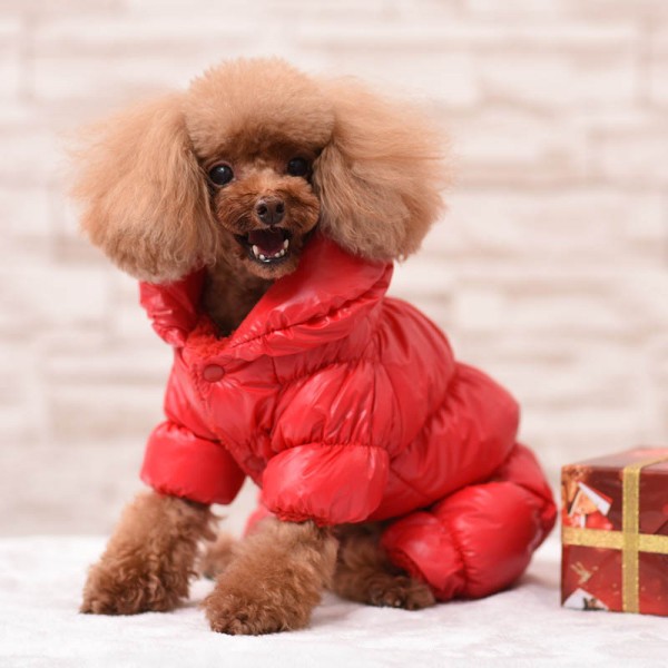 Dog Coats With Legs For Winter