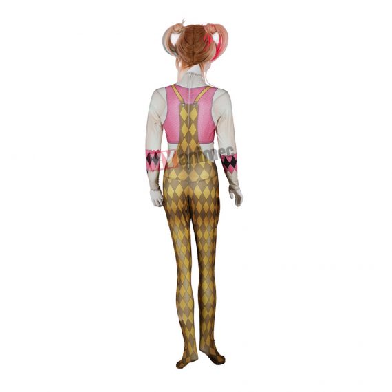 2020 Harley Quinn and Birds of Prey  Costume