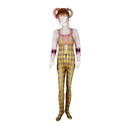 2020 Harley Quinn and Birds of Prey  Costume