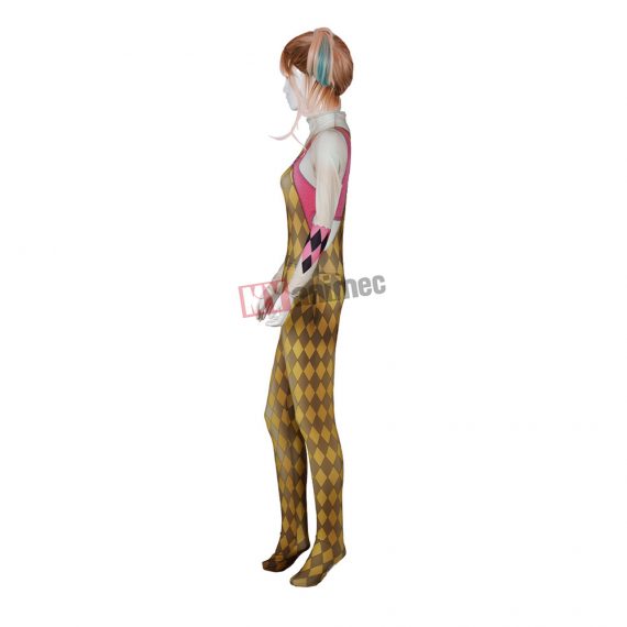 2020 Harley Quinn and Birds of Prey  Costume