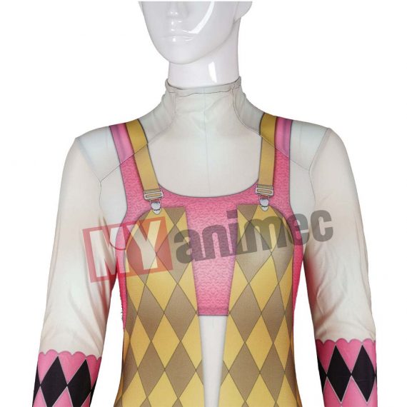 2020 Harley Quinn and Birds of Prey  Costume