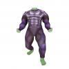 The Incredible Hulk Robert Bruce Banner Costume