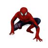 Muscle Spiderman Costume Lycra Tights
