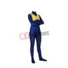 Phoenix costume   Spandex Zentaisuit  Unisex for Men and Women  Phoenix  costume