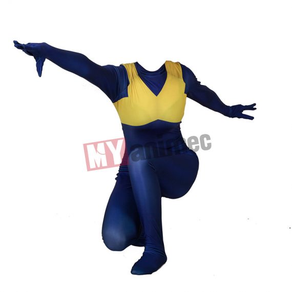 Phoenix costume   Spandex Zentaisuit  Unisex for Men and Women  Phoenix  costume