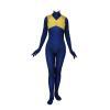 Phoenix costume   Spandex Zentaisuit  Unisex for Men and Women  Phoenix  costume