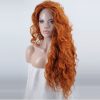 Animated movie Brave protagonist Merida brown long curly hair wig