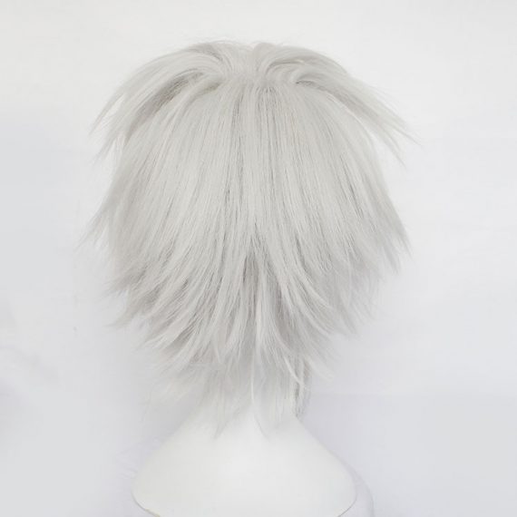 Aotu World Anime Cosplay Fashion Wig
