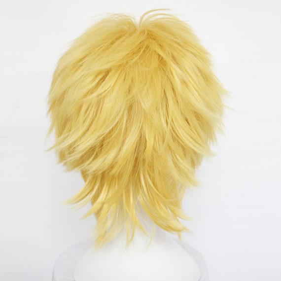 Aotu World Anime Cosplay Fashion Wig