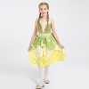 Fairy Tale The Wonderful Wizard of Oz Cosplay Costume Girls Performance Dress