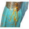 A Song of Ice and Fire  Game of Thrones  cosplay Daenerys Targaryen khaleesi costume