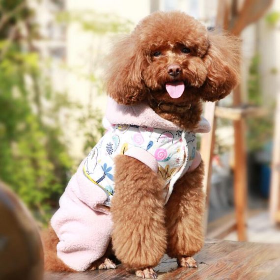 New style pet costume flashing light logo lamb wool dog clothes