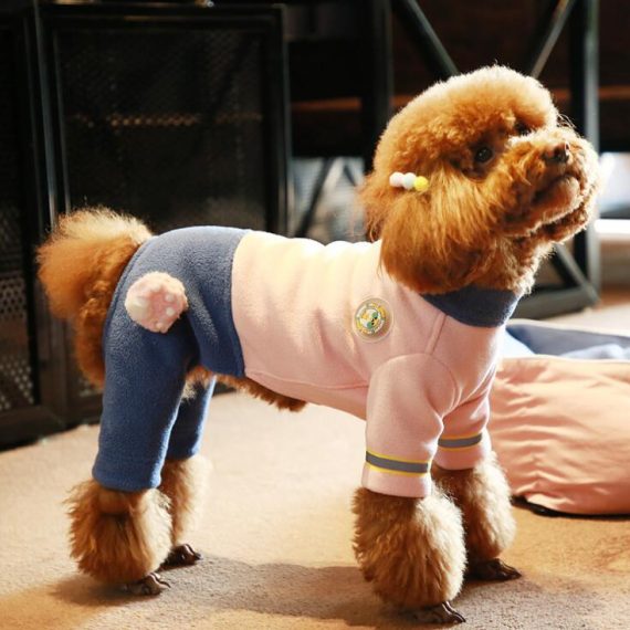 Pet costumer autumn and winter glowing dog clothes
