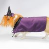 Halloween pet costume witch cosplay purple cloak with hat