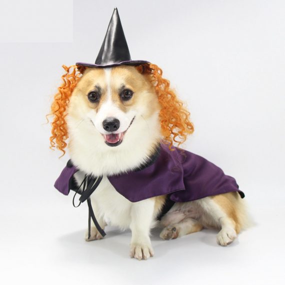 Halloween pet costume witch cosplay purple cloak with hat