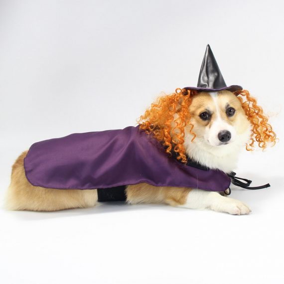Halloween pet costume witch cosplay purple cloak with hat