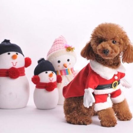 dog halloween costumes christmas santa claus cosplay dog costumes