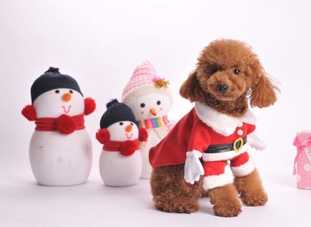 dog halloween costumes christmas santa claus cosplay dog costumes