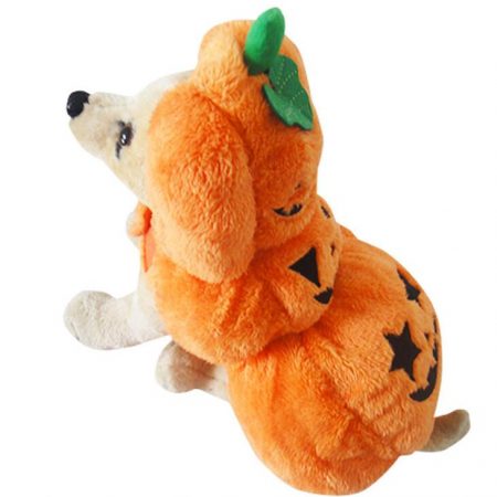 dog2 (3)