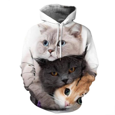 cat1 (3)
