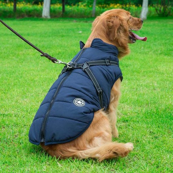 Large Dog Coats For Winter