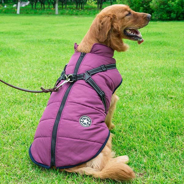 Large Dog Winter Coats - MYanimec