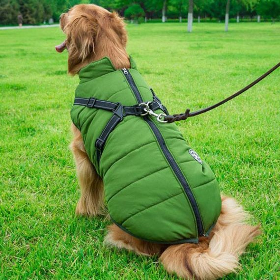 Large Dog Coats For Winter